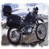 Motorcycle Traveller Avatar Image