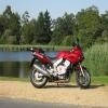 Nevertoolate Avatar